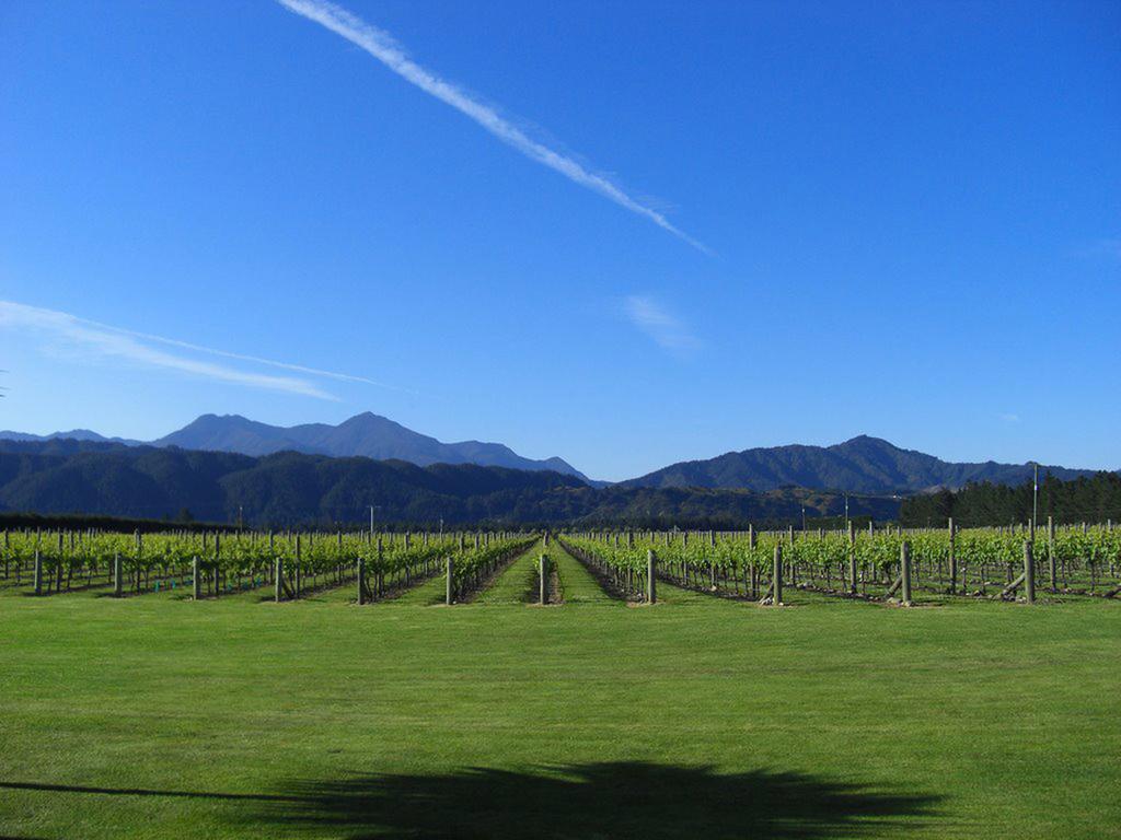 Straw Lodge Vineyard And Boutique Lodging Renwick Exterior photo
