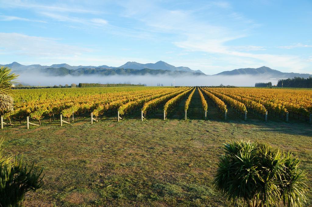 Straw Lodge Vineyard And Boutique Lodging Renwick Room photo