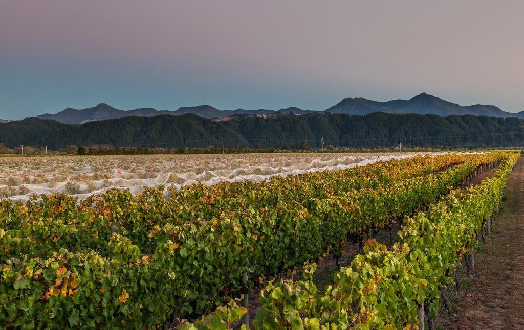 Straw Lodge Vineyard And Boutique Lodging Renwick Exterior photo