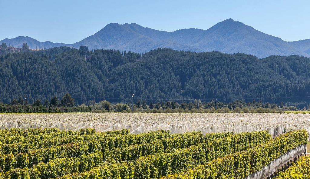 Straw Lodge Vineyard And Boutique Lodging Renwick Exterior photo